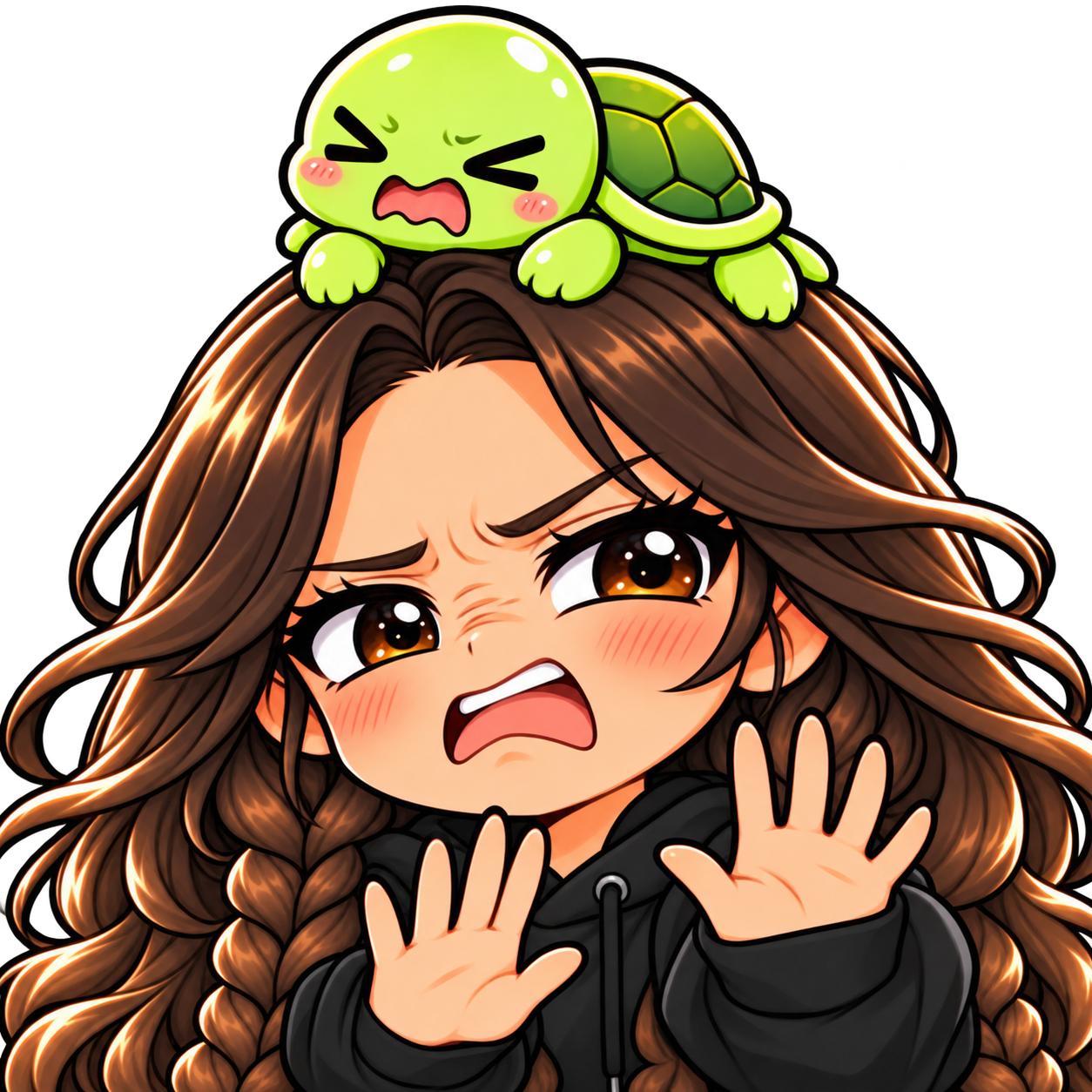 Turtle Companion — DansGame — Static Emotes example