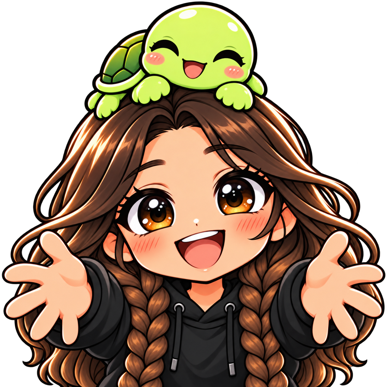 Turtle Companion — Hug — Static Emotes example