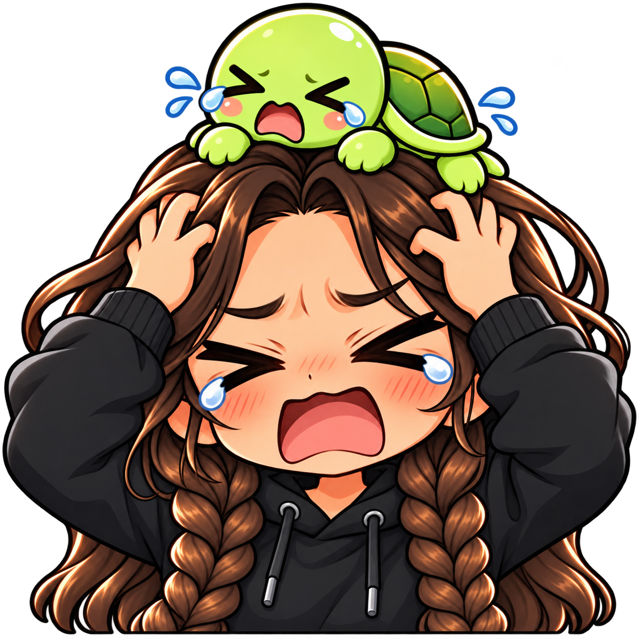 Turtle Companion — NotLikeThis — Static Emotes example