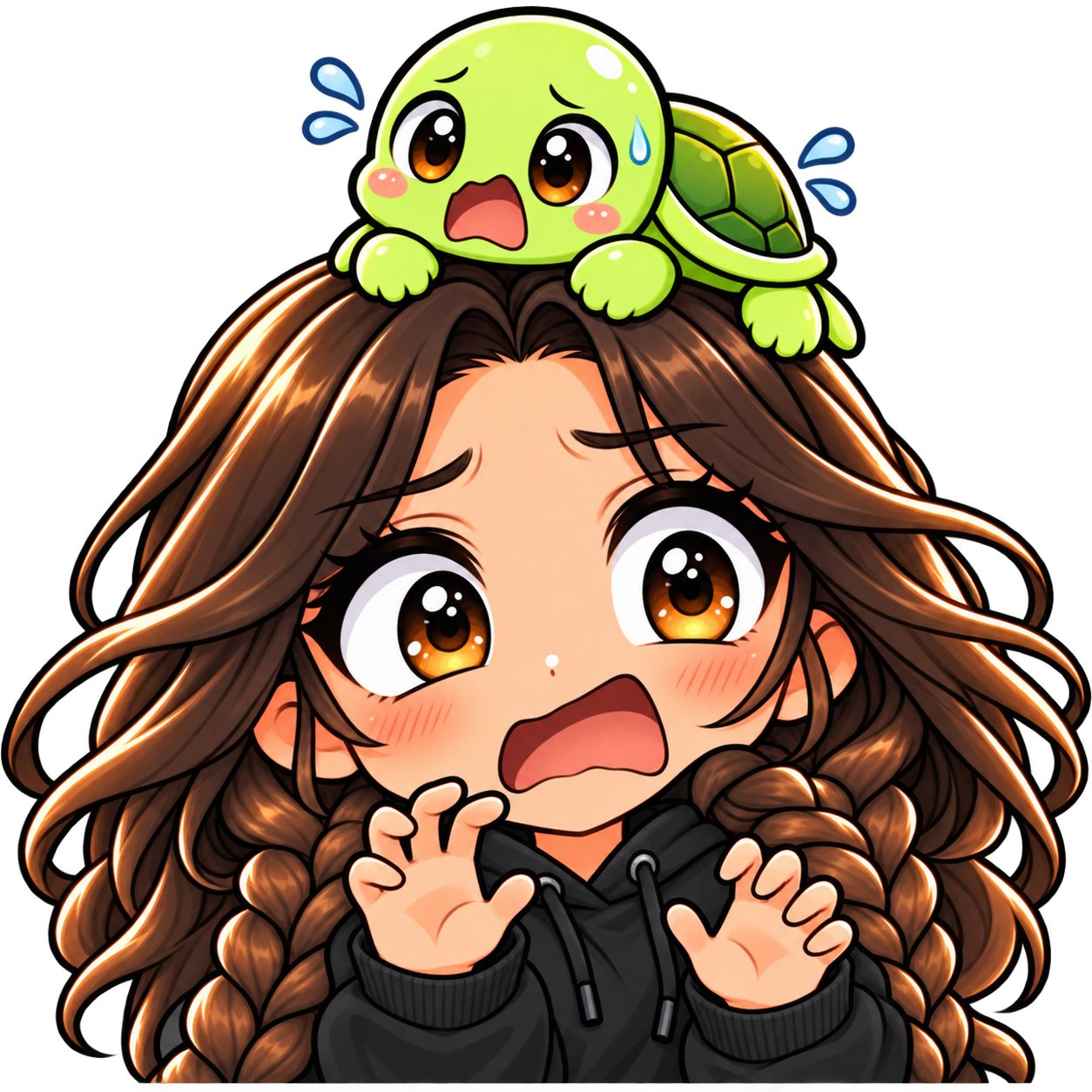 Turtle Companion — WutFace — Static Emotes example